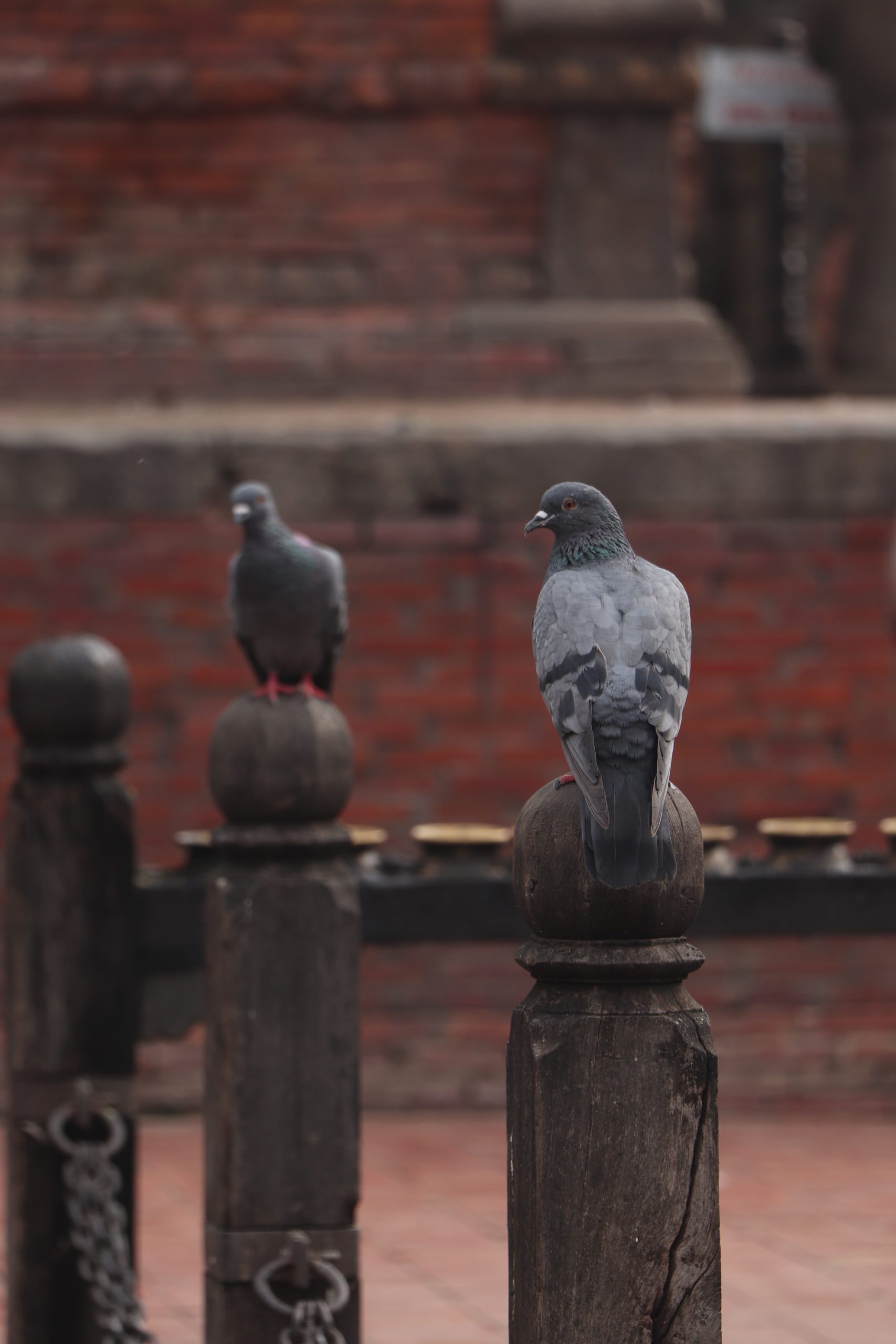 Patan Durbar Square